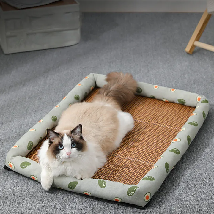 The Coolest and MOST Comfortable Pet Bed in Summer